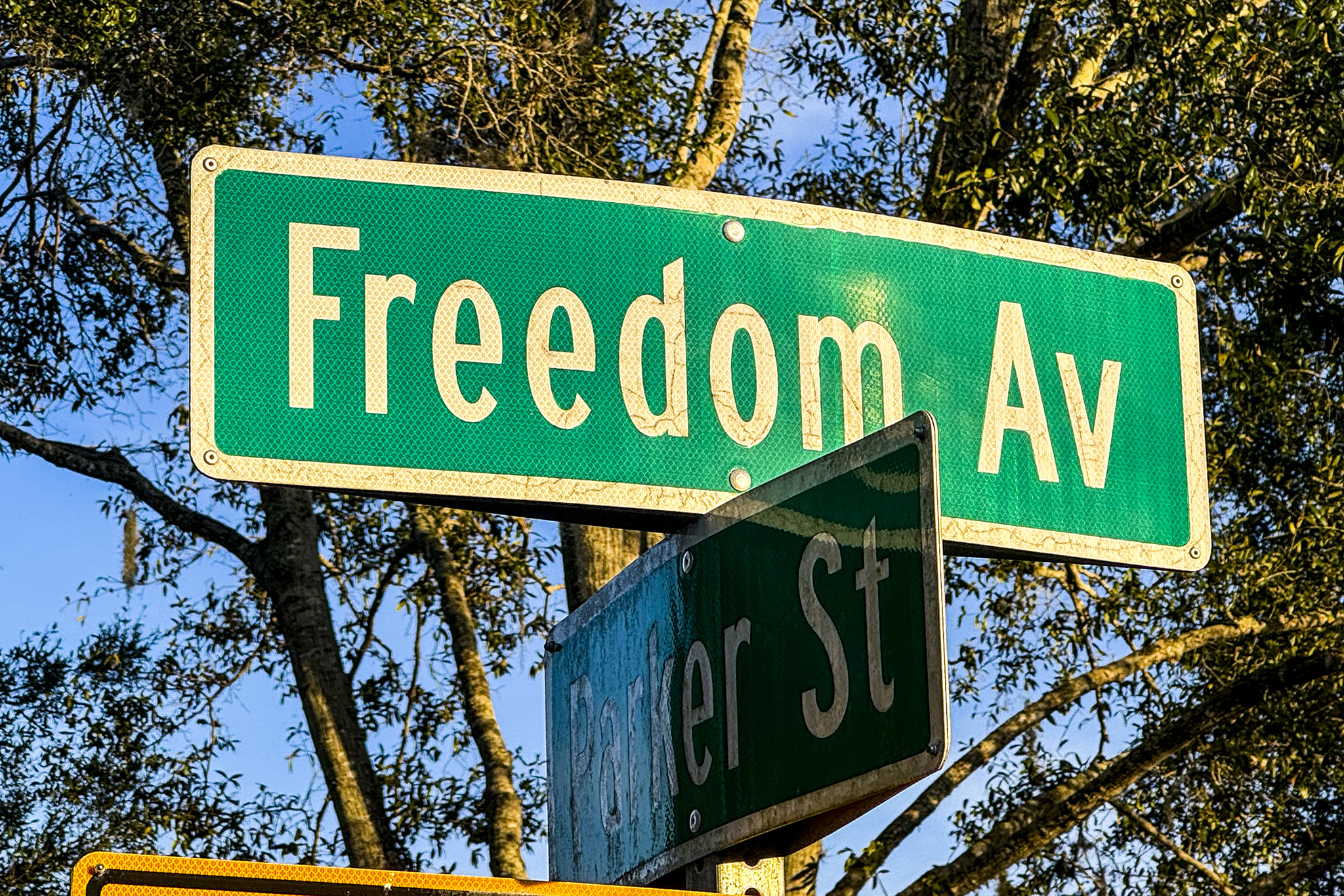 A green street sign that reads “Freedom Ave.” 