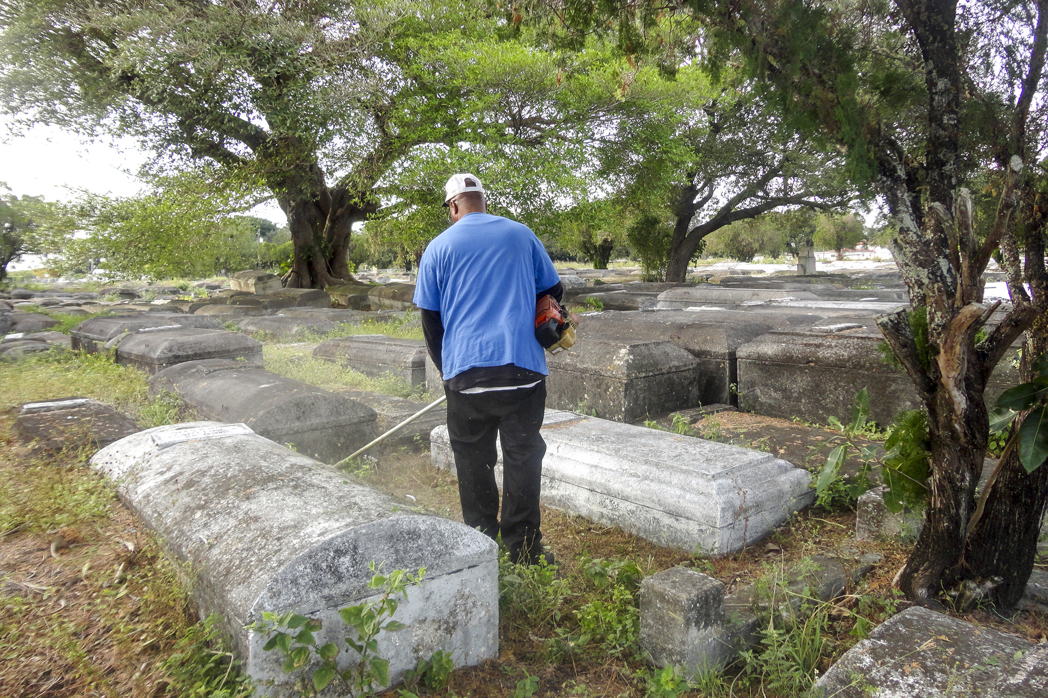 Theodore Cochran uses a weedwacker to clean up the weeds between tombs.