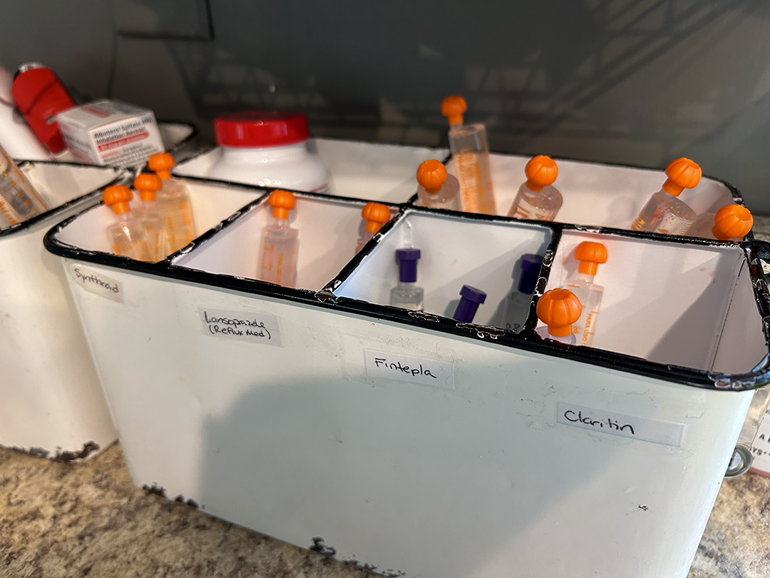 Syringes stand upright in a tray. They are filled with clear fluid and have orange and blue toppers on them.